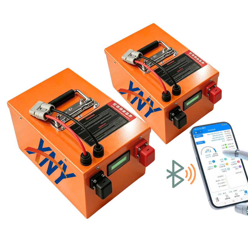 100Ah 60V 60Ah 80Ah 30Ah 60V 4 - 72V 60Ah Lifepo4 Battery Pack review and price